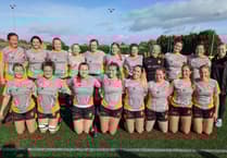 Crediton Women Battle Back to take the sting out of the Hornets