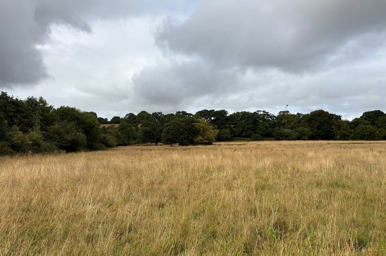 Where the Okement Wood will be located.