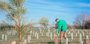 Forestry England to create two new SW woodlands
