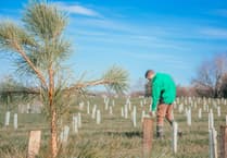 Forestry England to create two new SW woodlands