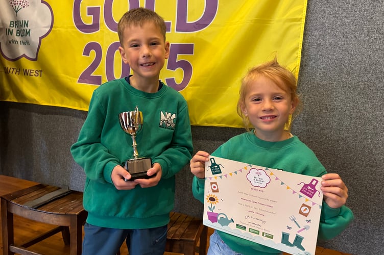 Newton St Cyres Primary School received a School IYS award Level 4 (out of 5) award in the South West in Bloom competition. AQ 5209