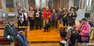 Seven dogs at Crediton Pet Service
