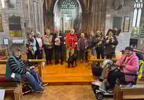 Seven dogs at Crediton Pet Service