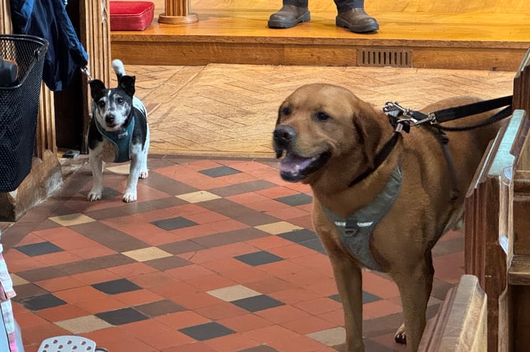 Pets in Crediton Parish Church during the pet service. AQ 4895