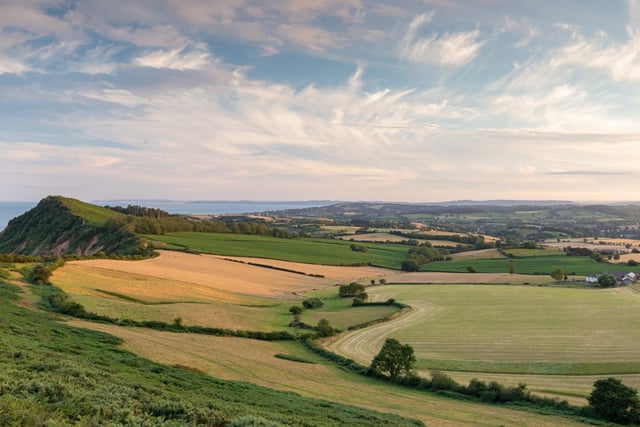 Devon councils propose county is split into three
