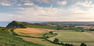 Devon councils propose county is split into three
