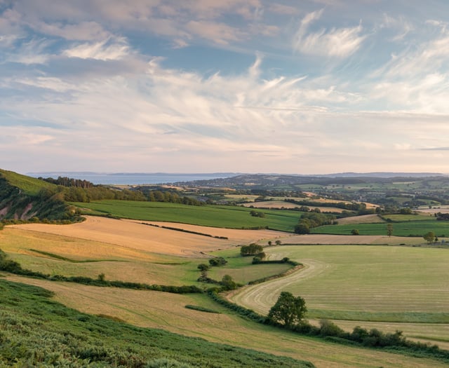 Devon councils propose county is split into three
