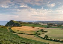 Devon councils propose county is split into three