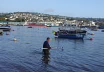 Letter: Where have the brown trout gone?