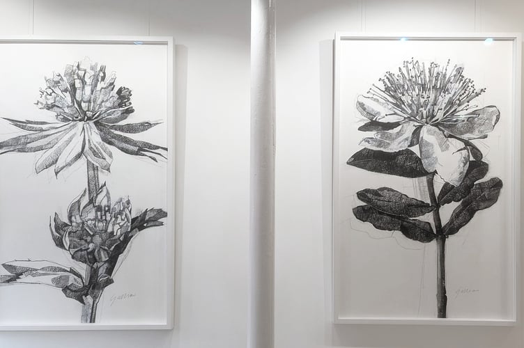 Drawings by Clarissa Galliano
