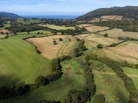 More green space in Tiverton and Minehead than English average