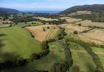 More green space in Tiverton and Minehead than English average