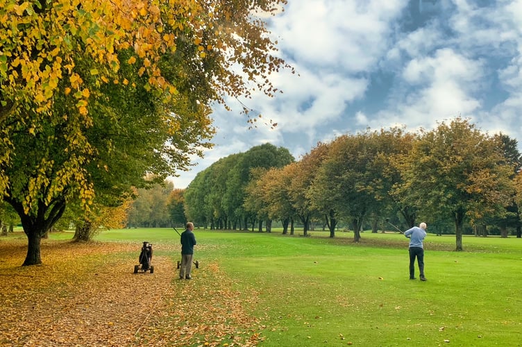 Friends playing on an autumn morning at Downes. 
