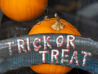 Halloween and Fireworks - Be respectful, stay safe

