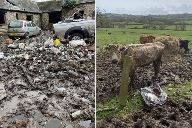Farmer prosecuted for 'horror movie' neglect and pollution