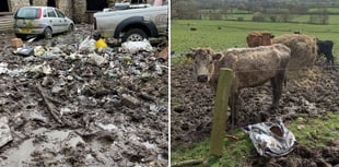 Farmer prosecuted for 'horror movie' neglect and pollution