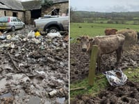 Farmer prosecuted for 'horror movie' neglect and pollution