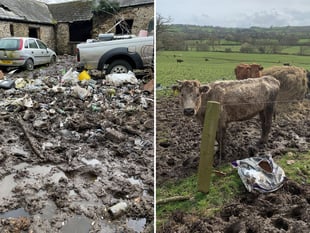 Farmer prosecuted for 'horror movie' neglect and pollution