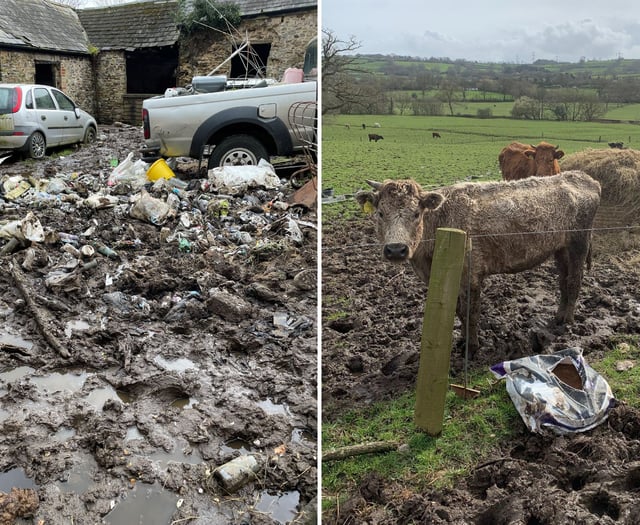 Farmer prosecuted for 'horror movie' neglect and pollution