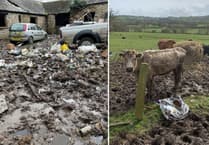 Honiton farmer prosecuted for 'horror movie' neglect and pollution