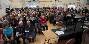 Hundreds turn out to oppose massive solar farm plan
