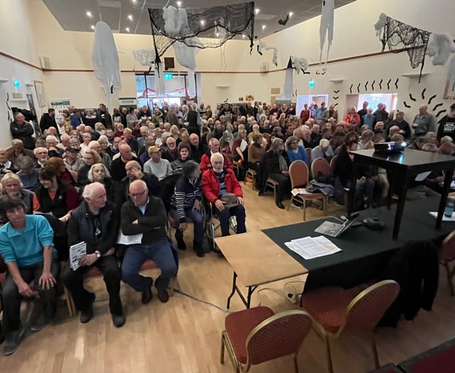 Hundreds turn out to oppose massive solar farm plan
