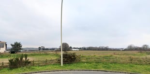 Exeter Chiefs want homes plan kicked into touch