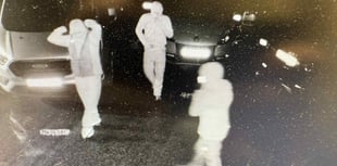 Sandford garage targeted by thieves - information appeal issued