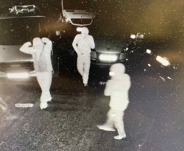 Sandford garage targeted by thieves - information appeal issued
