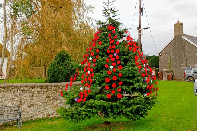 320 poppies on Coldridge tree for remembrance
