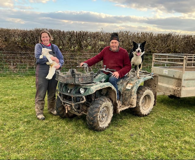 Local farmer to stand in Winkleigh by-election
