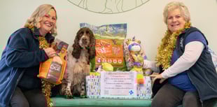 Crediton vets asks for pet food donations