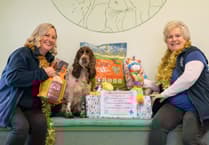 Crediton vets asks for pet food donations