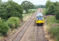Call for rail resilience on Tarka Line as petition is launched
