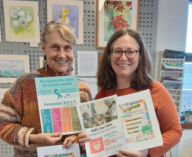 Eco-Crafternoon, Significant Seams support ovarian cancer initiative