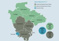 Devon district councils submit local government overhaul proposal