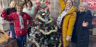 4,000+ visited Crediton Christmas Tree Festival
