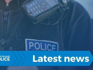 Man arrested and cannabis seized near Crediton
