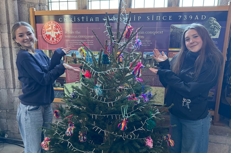 JMAerobatics members made some of the decorations for their tree, decorated by dancer and helper Megan, left and Caitlin, teacher, right.  AQ 9791
