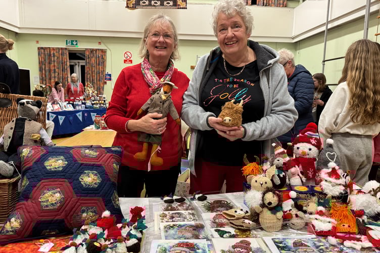 Julie Barns and Vivien Thomas sold knitted items, gem art cards and handmade felt animals at Bow School Fair. AQ 0006