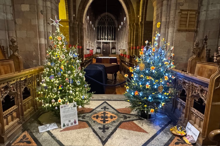 Two decorated trees in Crediton Parish Church Christmas Tree Festival.  AQ 9646
