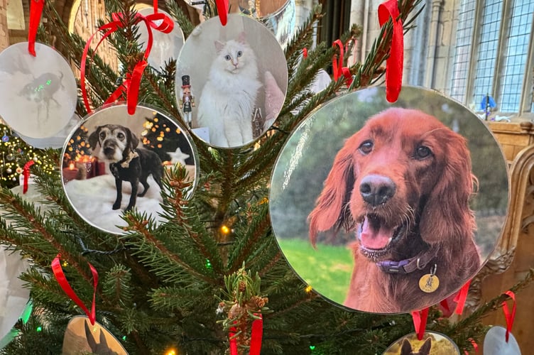 Pictures of local pets on the St Boniface Vets Christmas tree.  AQ 9782
