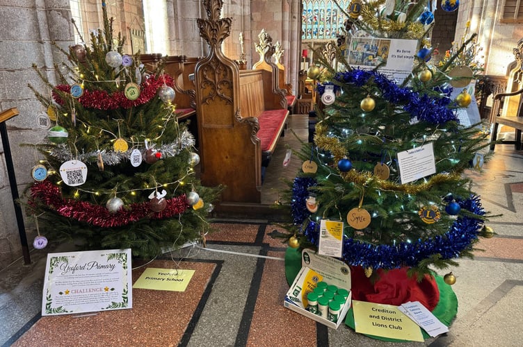 Two decorated trees in Crediton Parish Church Christmas Tree Festival.  AQ 9780
