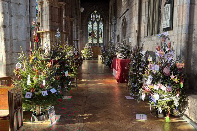 One of the avenues of decorated Christmas trees in Crediton Parish Church.  AQ 9824
