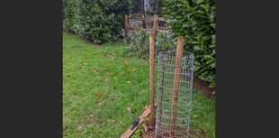 Act of vandalism in Newcombes Meadow
