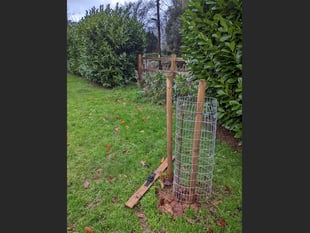Act of vandalism in Newcombes Meadow
