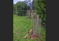 Act of vandalism in Newcombes Meadow