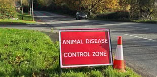 Strict Crediton bird flu zone restrictions lifted