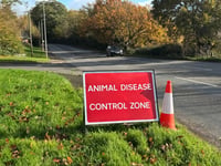 Strict Crediton bird flu zone restrictions lifted
