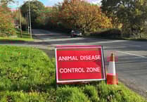 Strict Crediton bird flu zone restrictions lifted